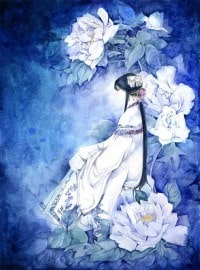 狐妖小红娘：开局扮演暗影刺客柒